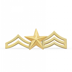 Smith & Warren - SB1087 Custom Badge - Visual Badge - Agent Gear USA